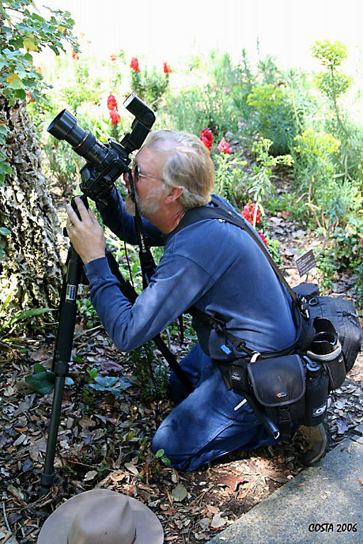 IMAGE: http://johnwright.smugmug.com/Photography/Our-Ego-Gallery-1/04-10-2006110/64610852_2QDUe-XL.jpg