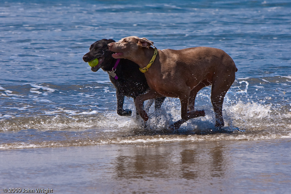 IMAGE: http://johnwright.smugmug.com/Travel/Oregon-2009-John/IMG100-3223-40D/577799176_nvZmt-XL.jpg