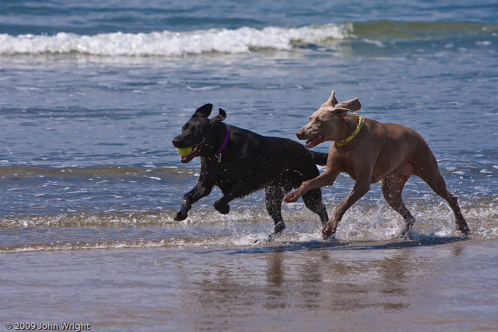 IMAGE: http://johnwright.smugmug.com/Travel/Oregon-2009-John/IMG100-3226-40D/577799259_UYiQA-XL.jpg