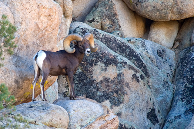 IMAGE: http://johnwright.smugmug.com/photos/111969665_Y8ajp-L.jpg