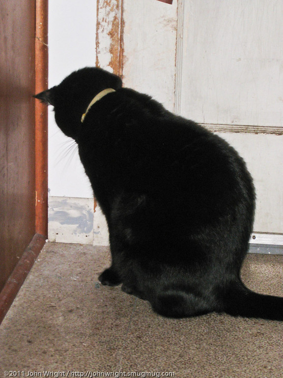 IMAGE: http://johnwright.smugmug.com/photos/1222938589_qQaZ4-XL.jpg