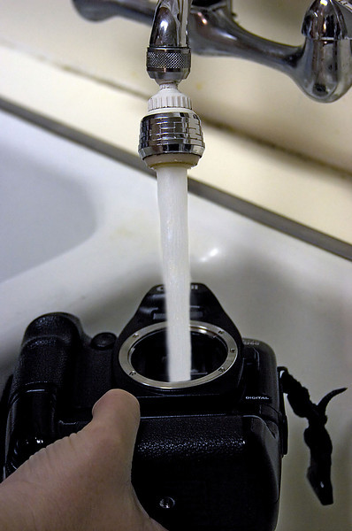 IMAGE: http://johnwright.smugmug.com/photos/146893780_f6s63-L-1.jpg