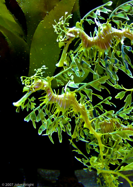 IMAGE: http://johnwright.smugmug.com/photos/181856693_q3uUh-L.jpg