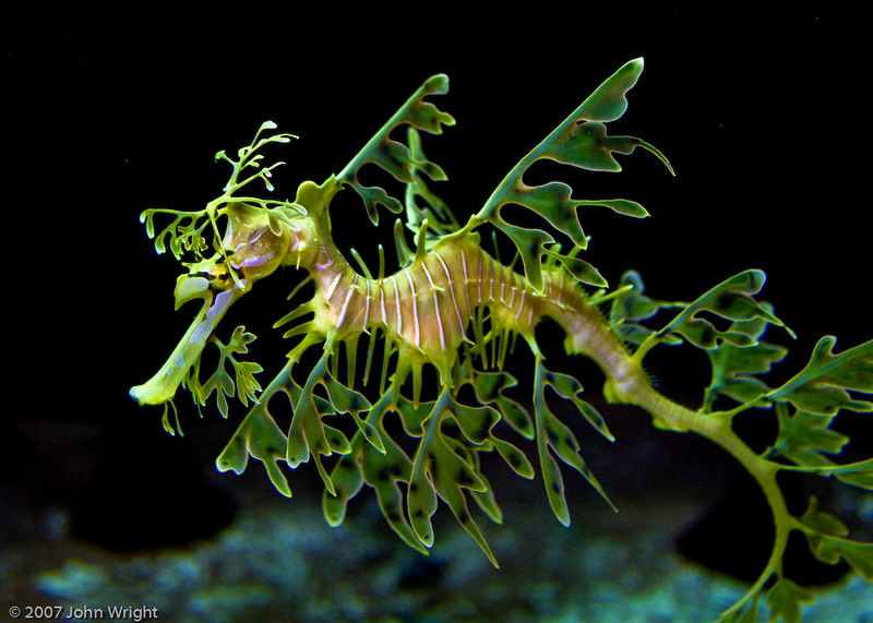 IMAGE: http://johnwright.smugmug.com/photos/181856745_haam7-L.jpg