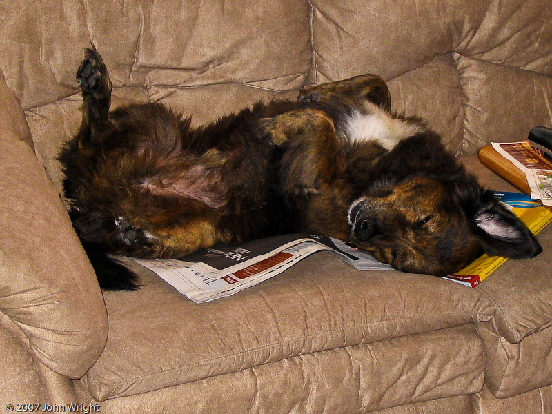 IMAGE: http://johnwright.smugmug.com/photos/223696257_nV8ac-L.jpg