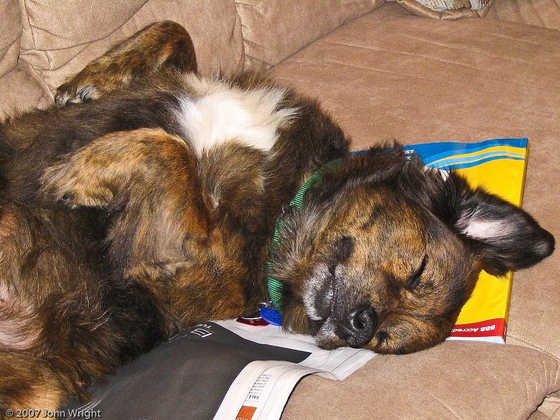 IMAGE: http://johnwright.smugmug.com/photos/223696288_cw8PY-L.jpg