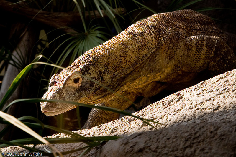 IMAGE: http://johnwright.smugmug.com/photos/237800158_neJfP-L.jpg