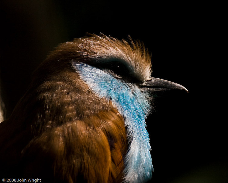 IMAGE: http://johnwright.smugmug.com/photos/254553091_U7mth-L.jpg