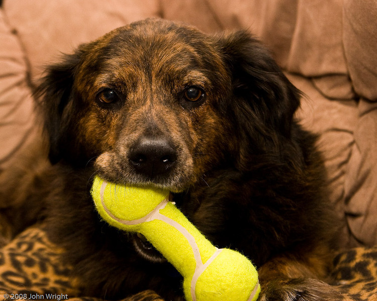 IMAGE: http://johnwright.smugmug.com/photos/265771173_3oCnE-L.jpg