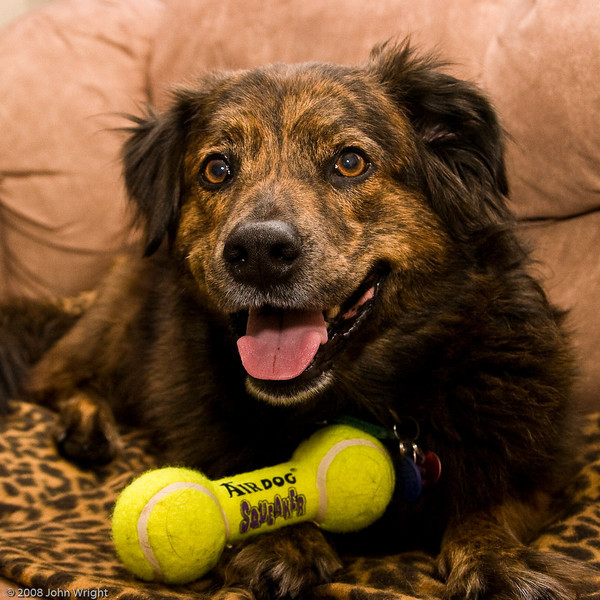 IMAGE: http://johnwright.smugmug.com/photos/265771328_9CPB5-L.jpg