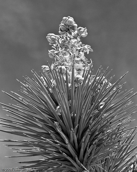 IMAGE: http://johnwright.smugmug.com/photos/281394577_JaeaT-L.jpg