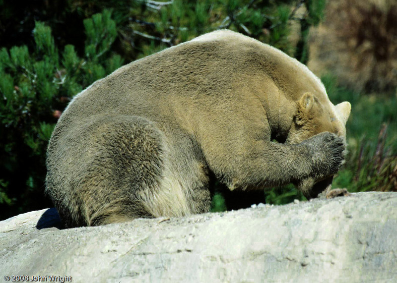 IMAGE: http://johnwright.smugmug.com/photos/309597952_Zbvqq-L.jpg