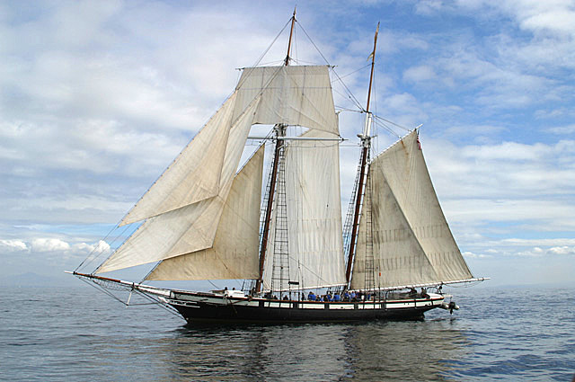 IMAGE: http://johnwright.smugmug.com/photos/34390293_oeeXw-L.jpg