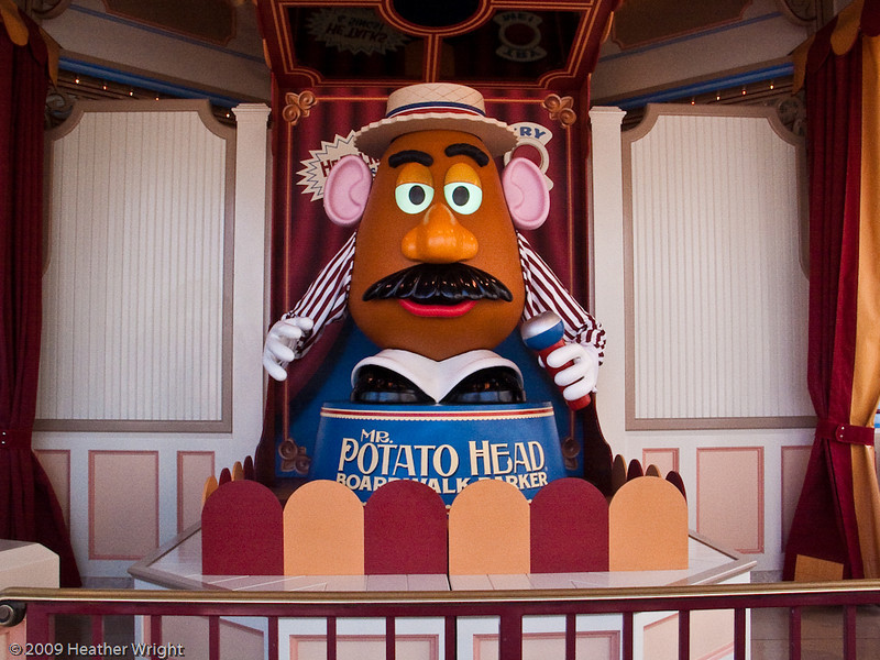 IMAGE: http://johnwright.smugmug.com/photos/503434104_wnPXD-L.jpg