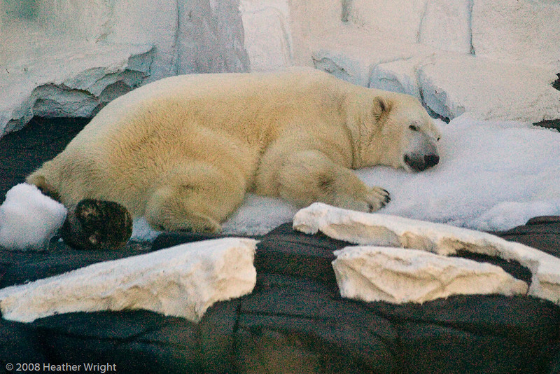 IMAGE: http://johnwright.smugmug.com/photos/530874102_mGwxS-L.jpg