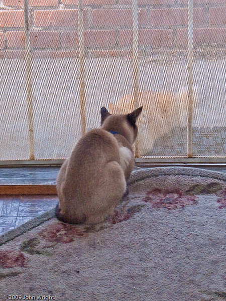 IMAGE: http://johnwright.smugmug.com/photos/535884371_d29Fe-L.jpg