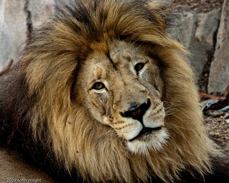 IMAGE: http://johnwright.smugmug.com/photos/587586429_Up5ch-L.jpg