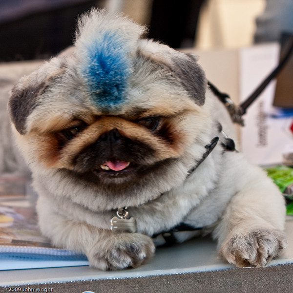 IMAGE: http://johnwright.smugmug.com/photos/589015704_9aWBQ-L.jpg