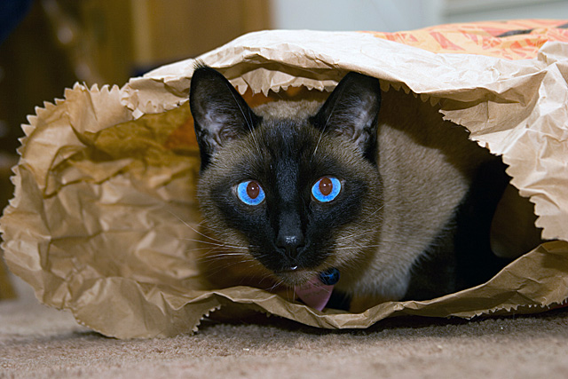 IMAGE: http://johnwright.smugmug.com/photos/60077148_8zByf-L.jpg